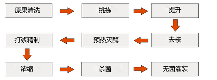 芒果酱生产线流程图